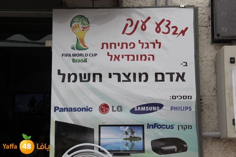 adam electric (22).JPG